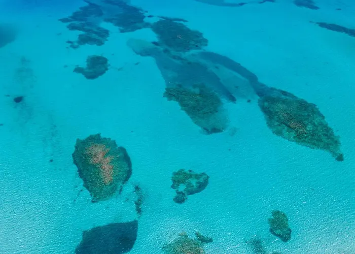 Vakantiehuis Voilier 28 By Domusaway *