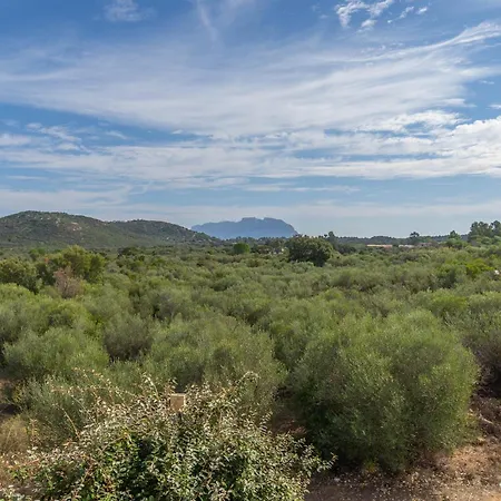 Voilier 28 By Domusaway Ferienhaus Olbia