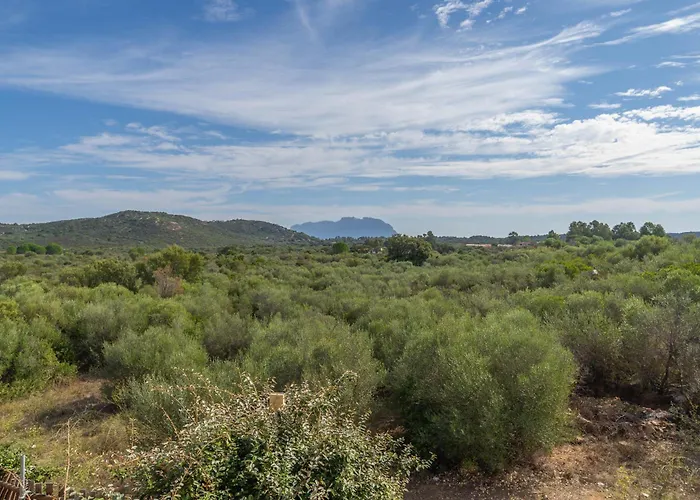 Voilier 28 By Domusaway Nyaraló Olbia